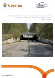Restauration de la continuité écologique du passage inférieur de la drève de Bassy en forêt domaniale de Raismes - Saint-Amand - Wallers (phase 1 Etudes ) | PICHARD, Olivier