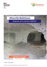 Allouville-Bellefosse - Diagnostic de la marnière 76559-037 | MEMPIOT, Aurélien