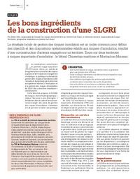Les bons ingrédients de la construction d’une SLGRI | FELTS, Didier